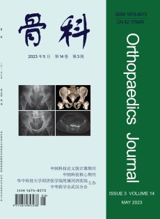武汉医学
